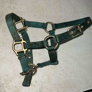 Miniature halter